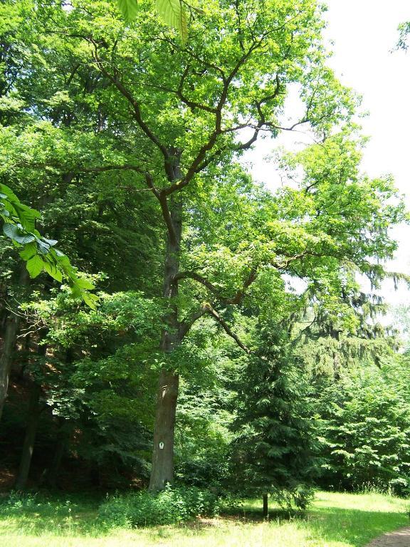 Ferienwohnung Im Stieg 4 Кведлинбург Экстерьер фото